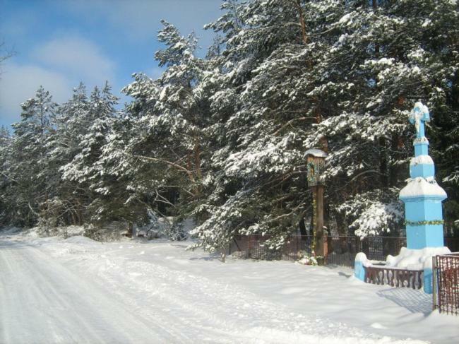 Wypoczynek U Piotra Villa Susiec ภายนอก รูปภาพ